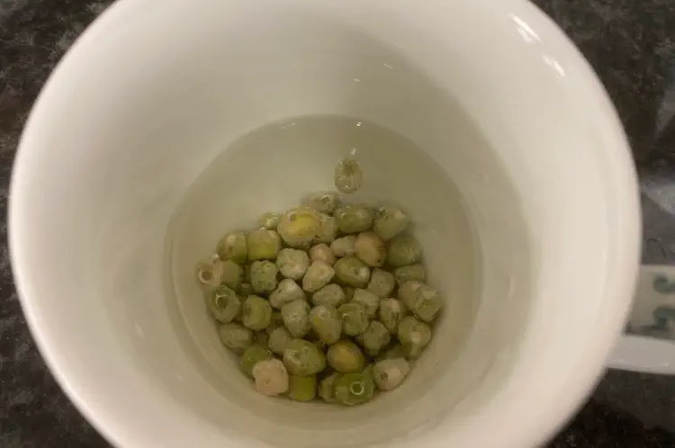 Pea Seeds ready to soak in a Cup Of Water